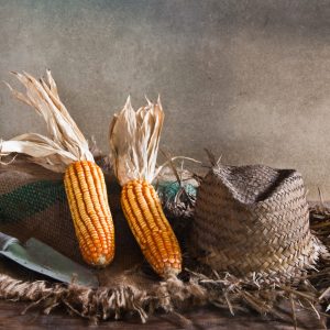 Wednesday Texas Rancher Buffet