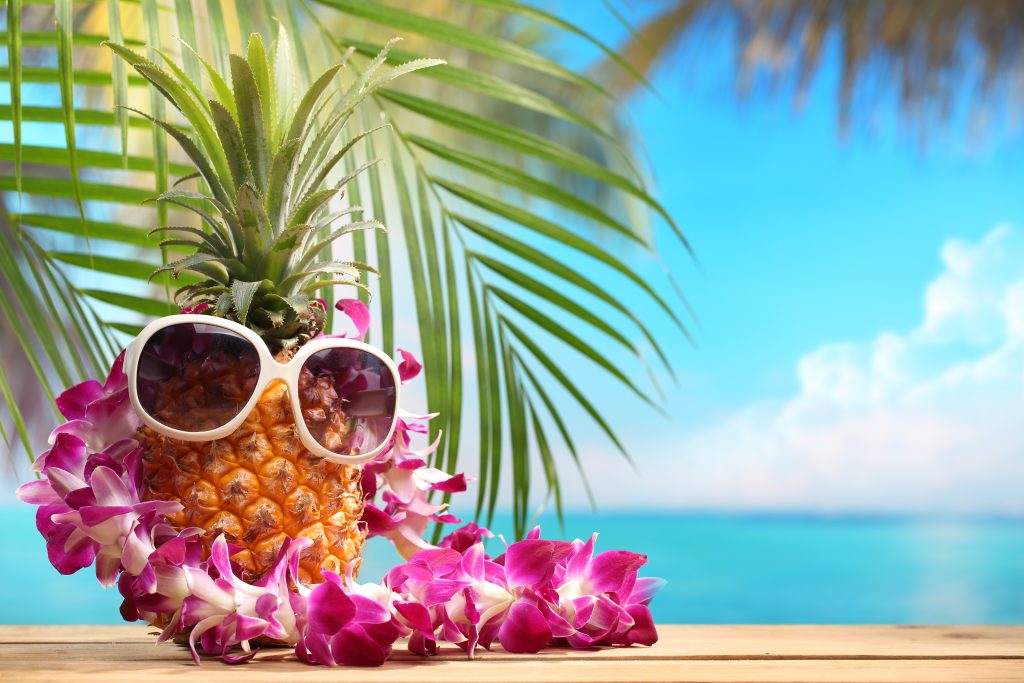 Flat Iron Steak National Beagle Club Specialty