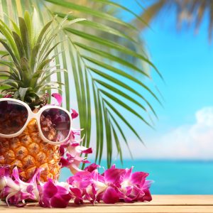 Vegetarian Plated Dinner