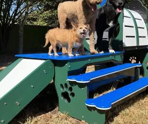 Puppy Scapes Gift Card - 3 tickets