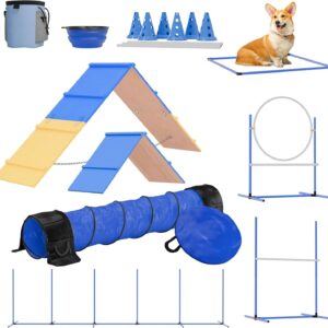 Agility Training Equipment - 1 ticket