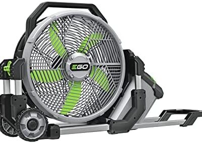 Fan Fan
